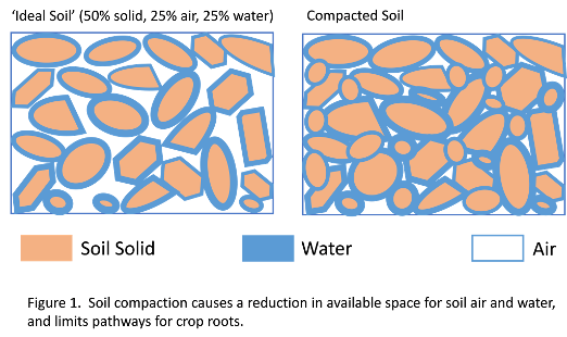 Compaction Diagram